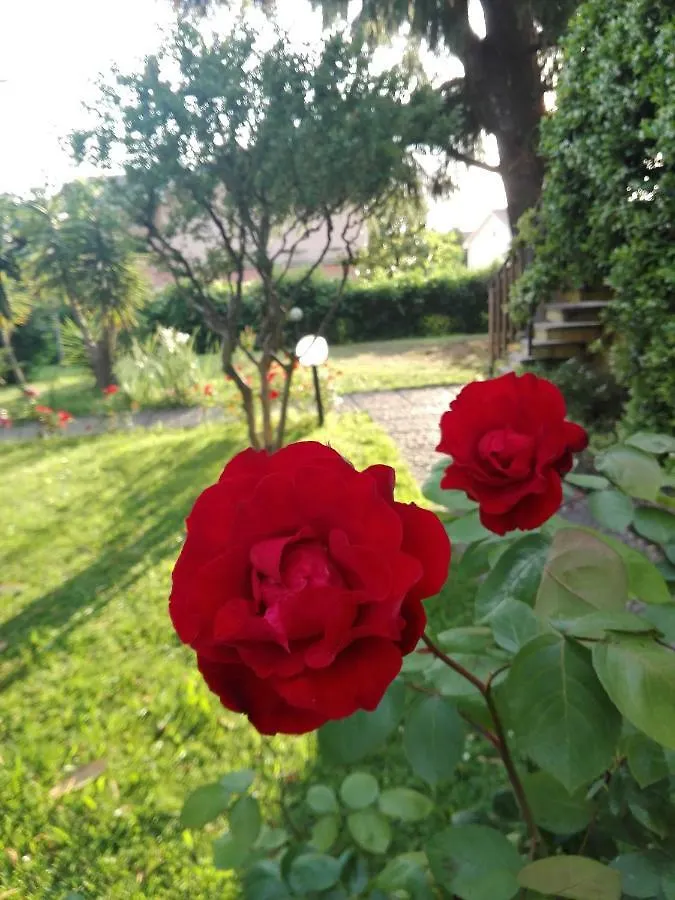 Apartment Villa Doda Bardolino Italy